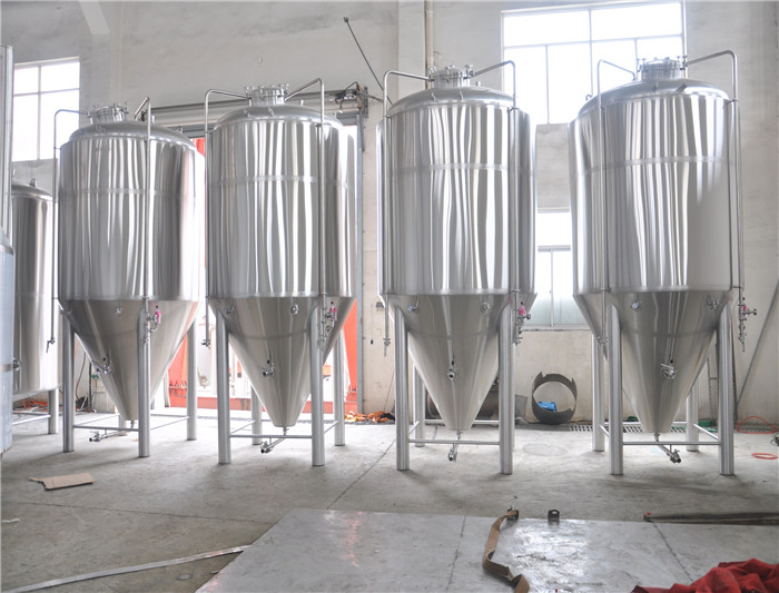 50HL SS Unitank Fermenter