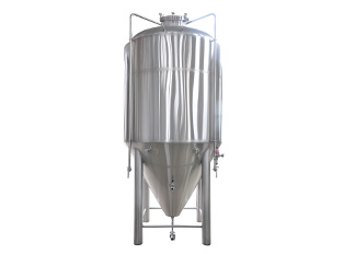 50HL SS Unitank Fermenter