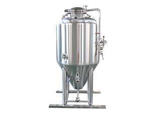 5BBL Beer Fermenter For Brewery Tanks