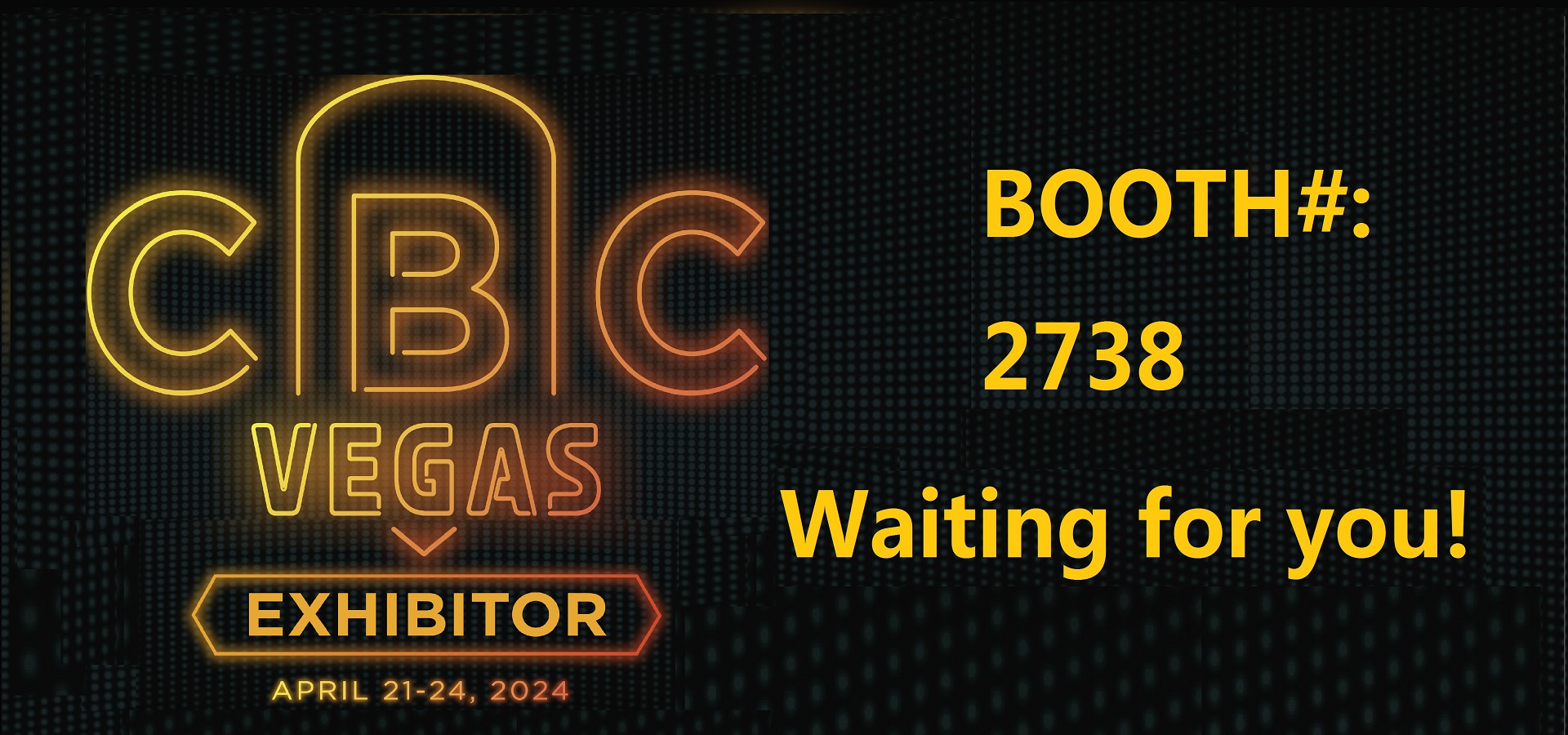 NFE will attend CBC2024 in Vegas,booth:2738